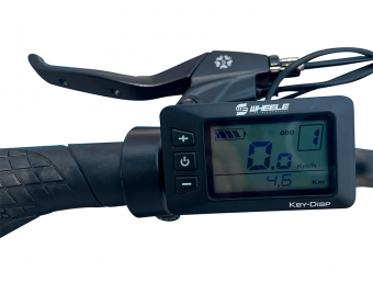 manhattan_flex_20-017